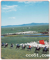 布小林：一首永远动听的草原牧歌