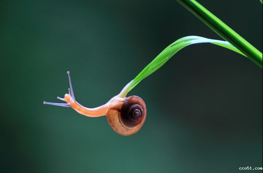 4000余幅摄影作品作者待确认，超过200万元稿酬待转付 摄著协喊权利人领教科书使用照片稿酬啦