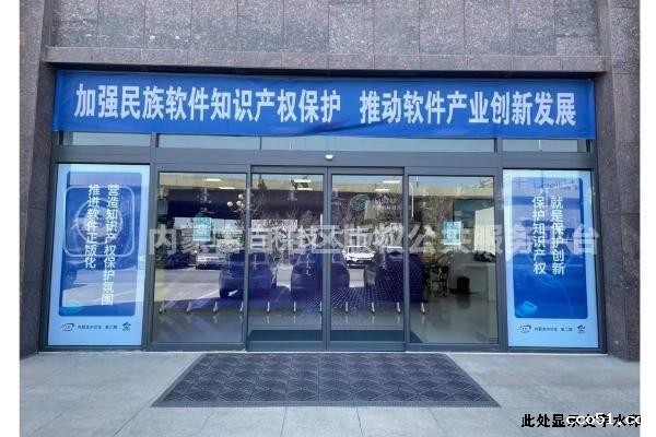 加强民族软件知识产权保护，推动软件产业创新发展